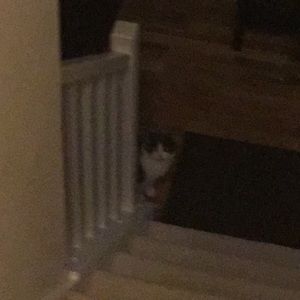 Meet your Posher, Evan